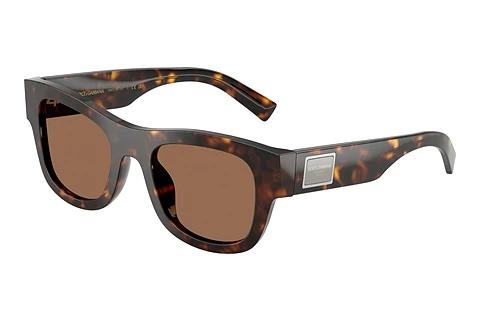 Solbriller Dolce & Gabbana DG4509 502/73