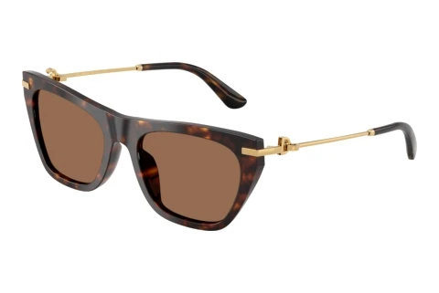 Solbriller Dolce & Gabbana DG4511 502/73