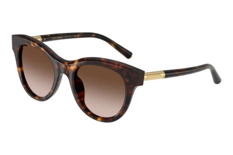 Solbriller Dolce & Gabbana DG4518 502/13