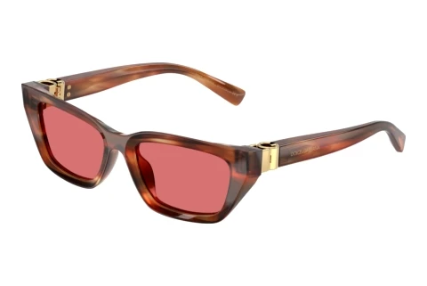 Solbriller Dolce & Gabbana DG4532 322175