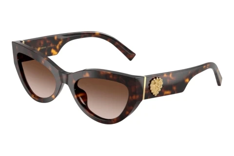 Solbriller Dolce & Gabbana DG4536 502/13