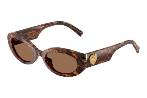 Solbriller Dolce & Gabbana DG4537 347073