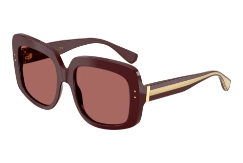 Solbriller Dolce & Gabbana DG4557 309169