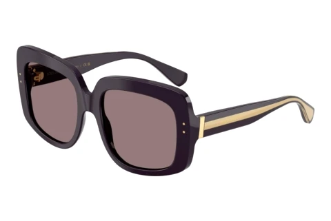 Solbriller Dolce & Gabbana DG4557 35017N