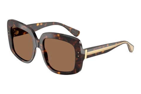 Solbriller Dolce & Gabbana DG4557 502/73