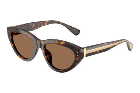 Solbriller Dolce & Gabbana DG4558 502/73