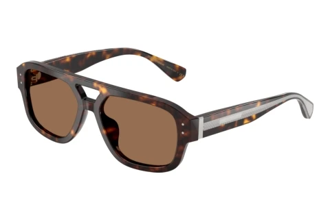 Solbriller Dolce & Gabbana DG4561 502/73