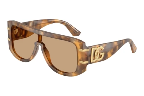 Solbriller Dolce & Gabbana DG4565 349663