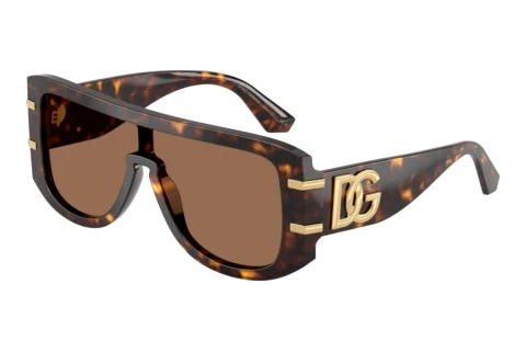 Solbriller Dolce & Gabbana DG4565 502/73