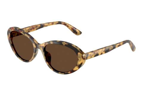 Solbriller Dolce & Gabbana DG4570 512/73