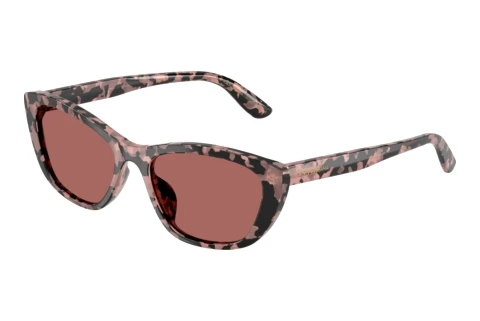 Solbriller Dolce & Gabbana DG4571 347669