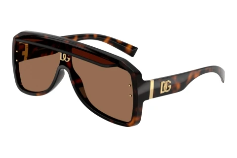 Solbriller Dolce & Gabbana DG6205 502/73