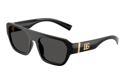 Solbriller Dolce & Gabbana DG6206 501/87