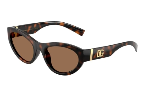 Solbriller Dolce & Gabbana DG6207 502/73