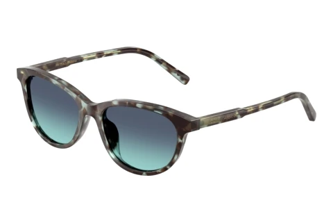 Solbriller Dolce & Gabbana DX4010 34434S