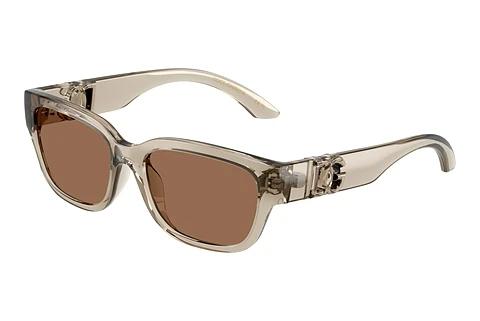 Solbriller Dolce & Gabbana DX6009 329173