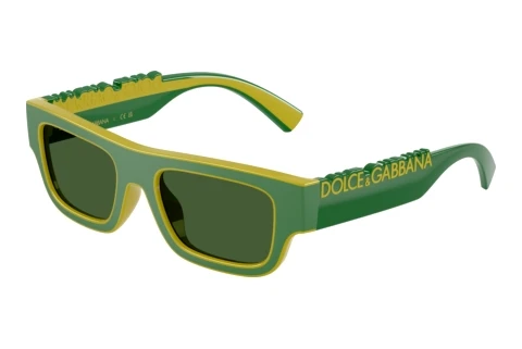 Solbriller Dolce & Gabbana DX6011 346771