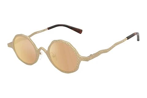 Solbriller Emporio Armani EA2166 30027J