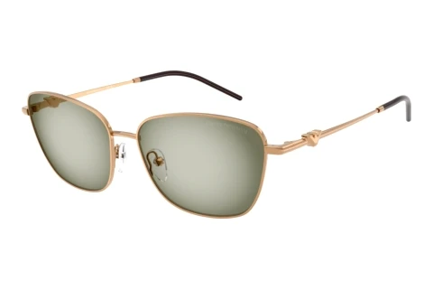 Solbriller Emporio Armani EA2170 342713