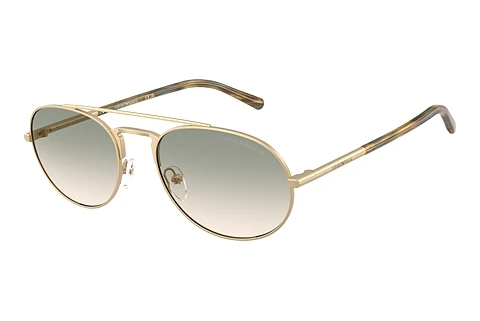 Solbriller Emporio Armani EA2171 30022C