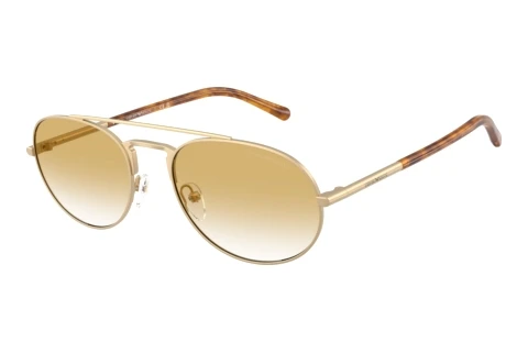 Solbriller Emporio Armani EA2171 30022Q