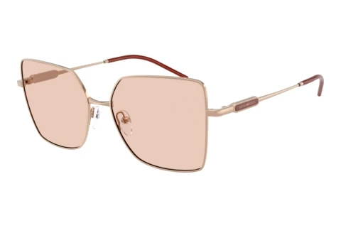 Solbriller Emporio Armani EA2179 301173