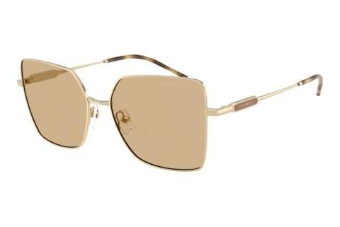 Solbriller Emporio Armani EA2179 301373