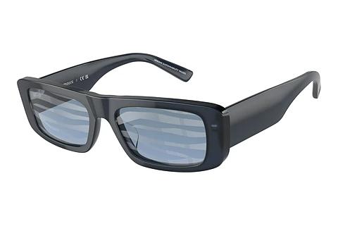 Solbriller Emporio Armani EA4229U 6120AM