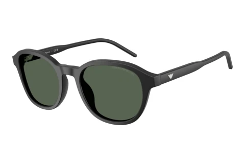 Solbriller Emporio Armani EA4247U 500171