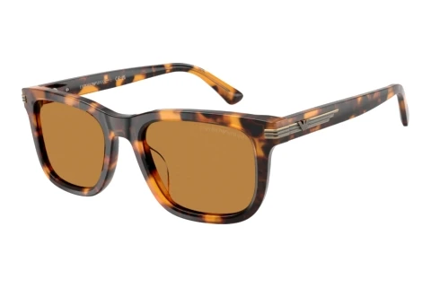 Solbriller Emporio Armani EA4282U 591693