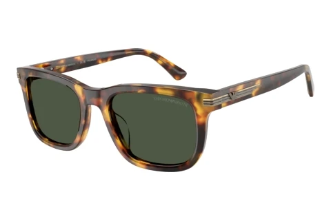 Solbriller Emporio Armani EA4282U 59939A