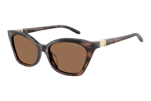 Solbriller Emporio Armani EA4284U 646173