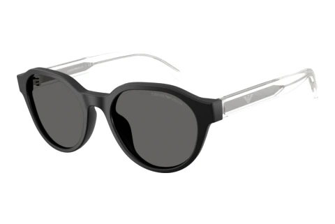 Solbriller Emporio Armani EK4008U 500187