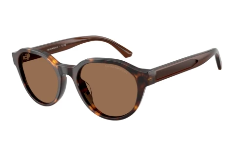 Solbriller Emporio Armani EK4008U 502673