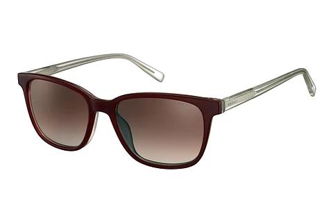 Solbriller Esprit ET17996 531