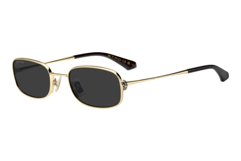 Solbriller Etro ETRO 0159/S 000/IR