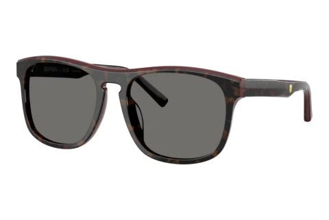 Solbriller Ferrari Scuderia FZ6020U 742/81