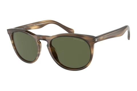 Solbriller Giorgio Armani AR8149 590058