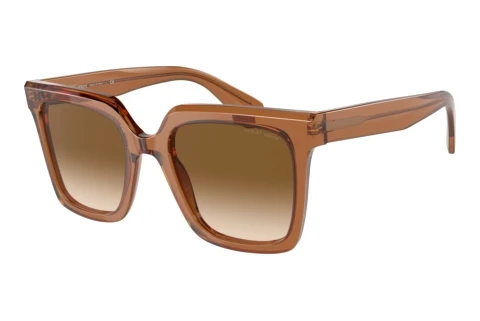 Solbriller Giorgio Armani AR8156 593251