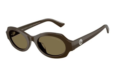 Solbriller Giorgio Armani AR8245HU 630773