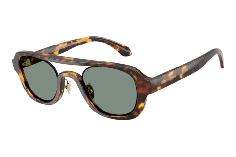 Solbriller Giorgio Armani AR8247 6331/1