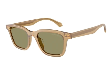 Solbriller Giorgio Armani AR8265U 64732A