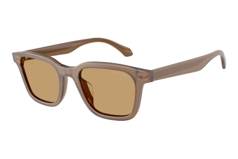 Solbriller Giorgio Armani AR8265U 647573