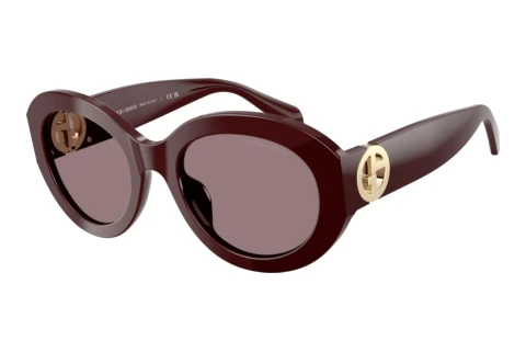 Solbriller Giorgio Armani AR8269U 64817N
