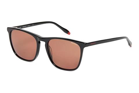 Solbriller Hackett HSB3335 01