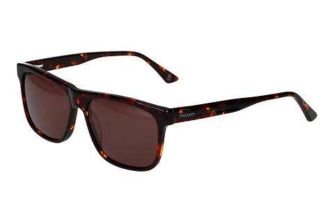 Solbriller Hackett HSB3346 168P