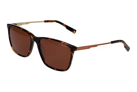 Solbriller Hackett HSB3349 101P