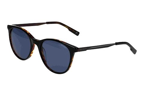 Solbriller Hackett HSB3350 107