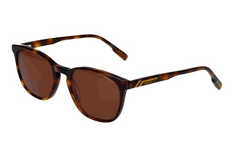 Solbriller Hackett HSB3352 101