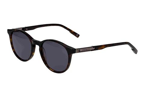 Solbriller Hackett HSB3361 101